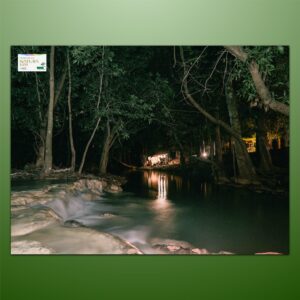 FujiColor Natura 1600
